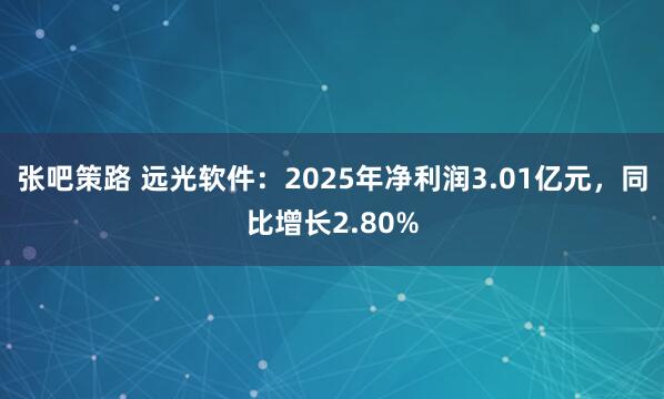 张吧策路 远光软件：2025年净利润3.01亿元，同比增长2.80%