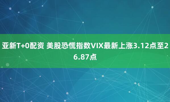 亚新T+0配资 美股恐慌指数VIX最新上涨3.12点至26.87点
