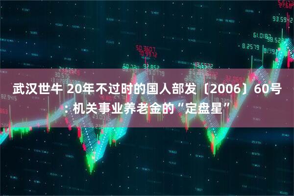 武汉世牛 20年不过时的国人部发〔2006〕60号: 机关事业养老金的“定盘星”