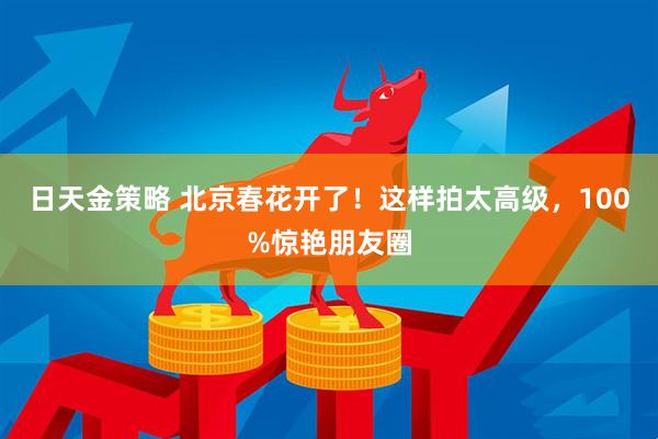 日天金策略 北京春花开了！这样拍太高级，100%惊艳朋友圈