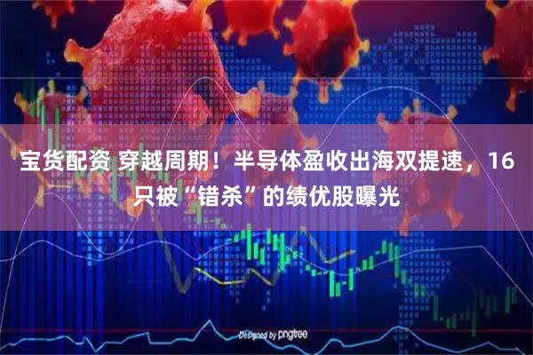 宝货配资 穿越周期！半导体盈收出海双提速，16只被“错杀”的绩优股曝光