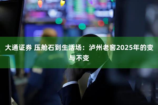 大通证券 压舱石到生活场：泸州老窖2025年的变与不变