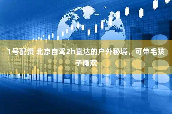 1号配资 北京自驾2h直达的户外秘境，可带毛孩子撒欢