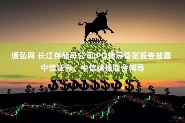 通弘网 长江存储母公司IPO辅导备案报告披露 中信证券、中信建投联合辅导
