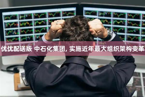 优优配送版 中石化集团, 实施近年最大组织架构变革