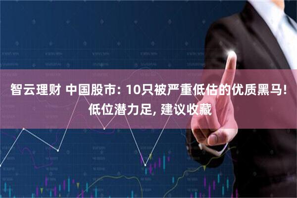 智云理财 中国股市: 10只被严重低估的优质黑马! 低位潜力足, 建议收藏